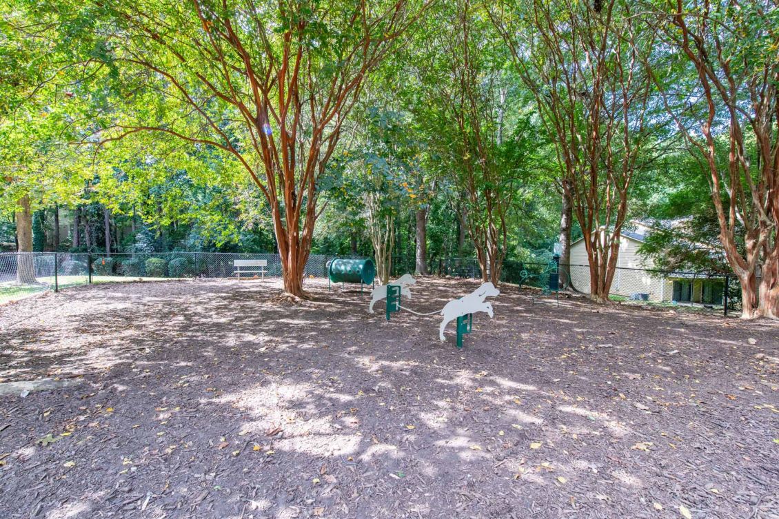 Shaded dog park with agility equipment, trees, and a fenced area in the background.