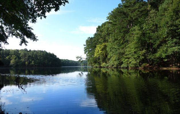 A calm lake surrounded by dense green trees, with blue sky reflected in the water.
