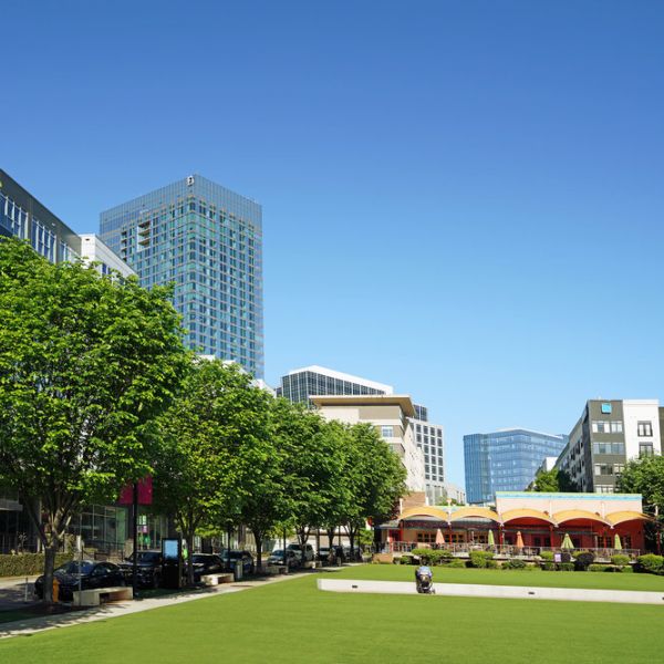 Modern city park with green lawn, trees, and tall buildings under a clear blue sky.