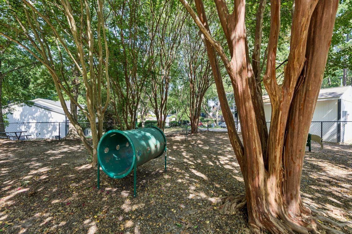 A green dog agility tunnel in a wooded park area.