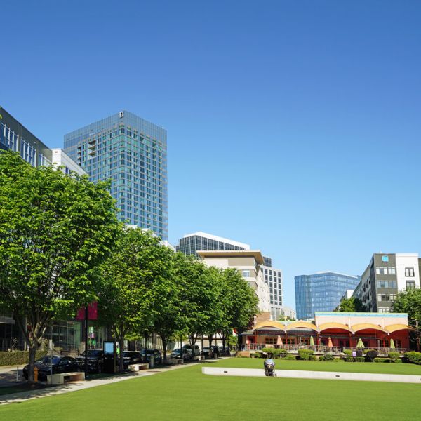 Modern city park with green lawn, trees, and tall buildings under a clear blue sky.