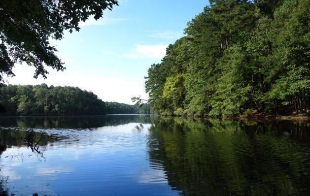 A calm lake surrounded by dense green trees, with blue sky reflected in the water.